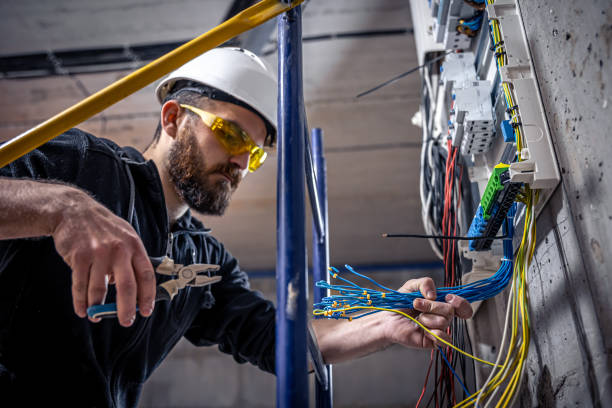 Best Electrical Troubleshooting Services  in The Meadows, FL