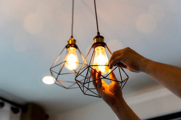 Best Electrician Near Me  in The Meadows, FL