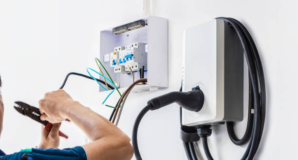Best Affordable Electrician  in The Meadows, FL