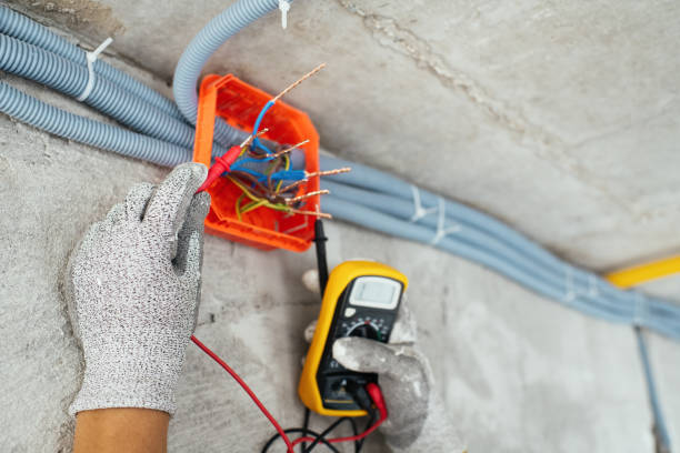 Best Home Electrical Repair  in The Meadows, FL
