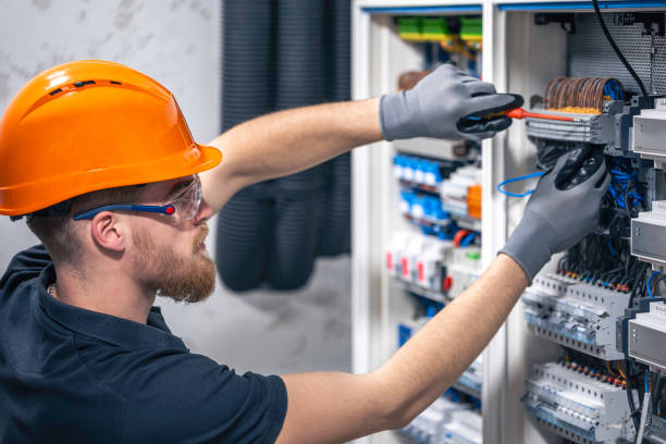 Best Electrical System Inspection  in The Meadows, FL